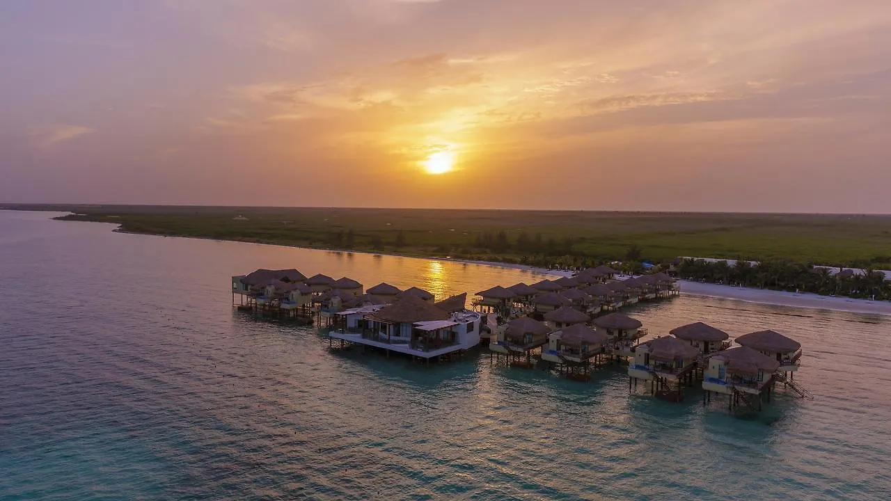 Palafitos Overwater Bungalows Catamaran, Cenote & More Inclusive (Adults Only) Playa del Carmen Resort